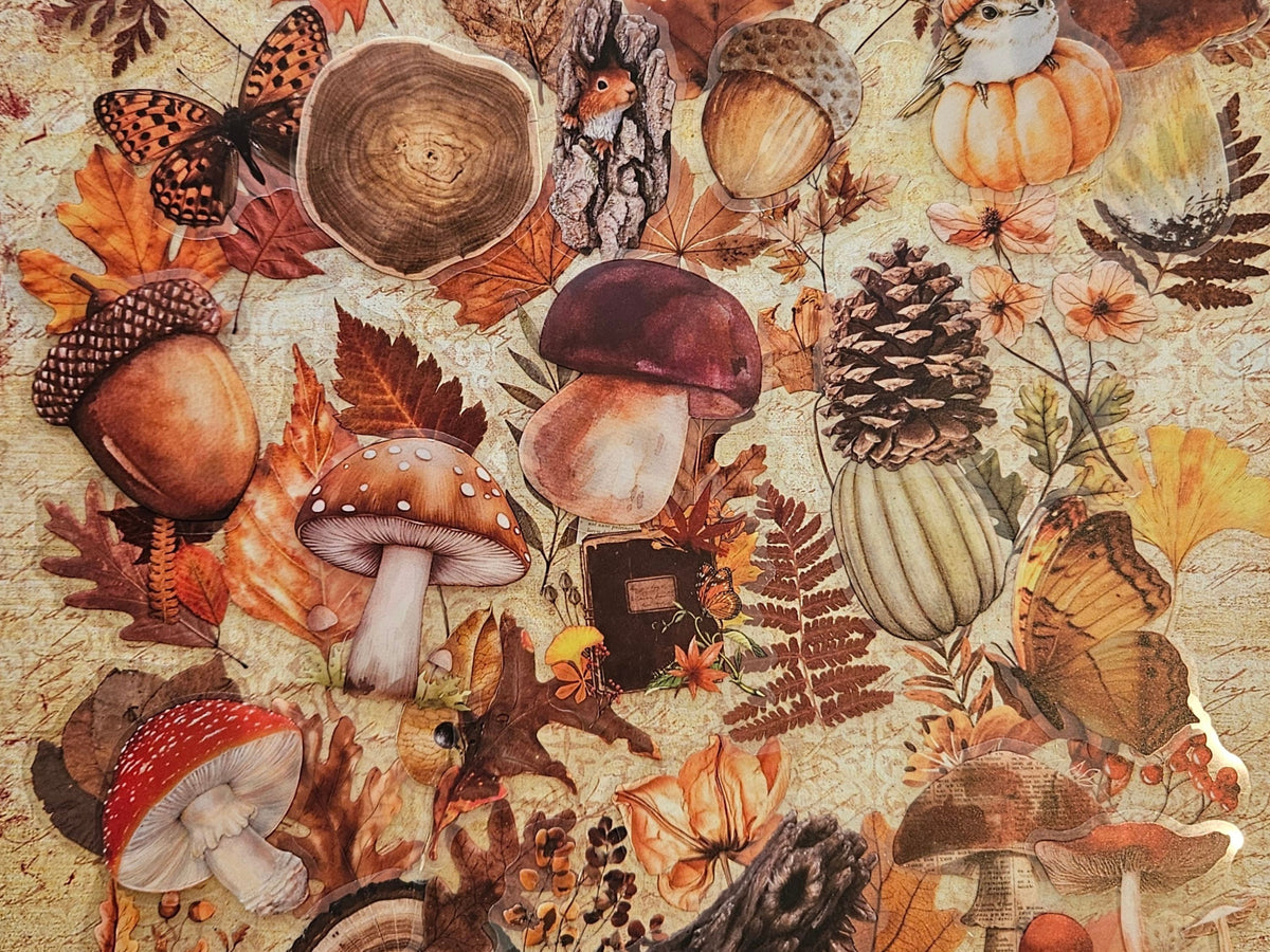 Woodland PET Stickers Bundle of 25, Autumn Mushrooms, Leaves & Nature Stickers for Journaling and Scrapbooking