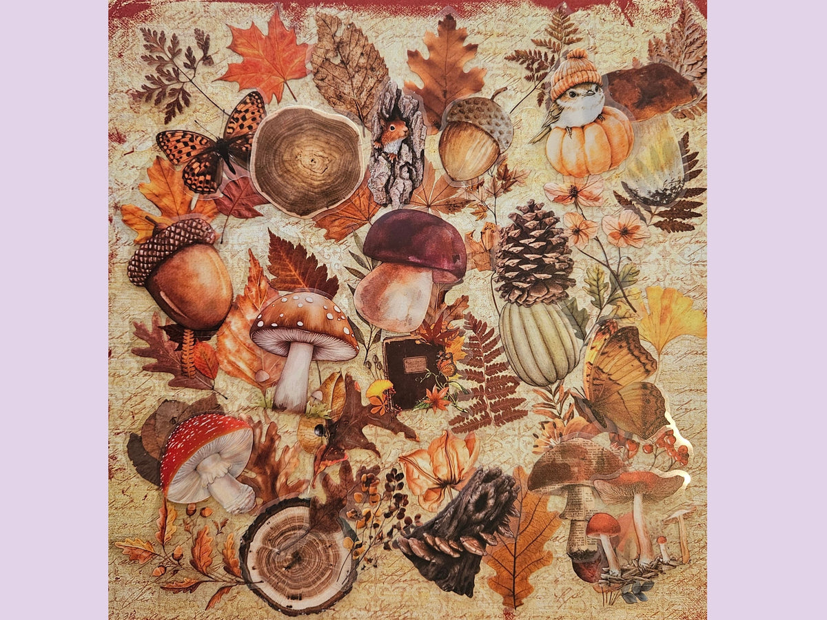 Woodland PET Stickers Bundle of 25, Autumn Mushrooms, Leaves & Nature Stickers for Journaling and Scrapbooking