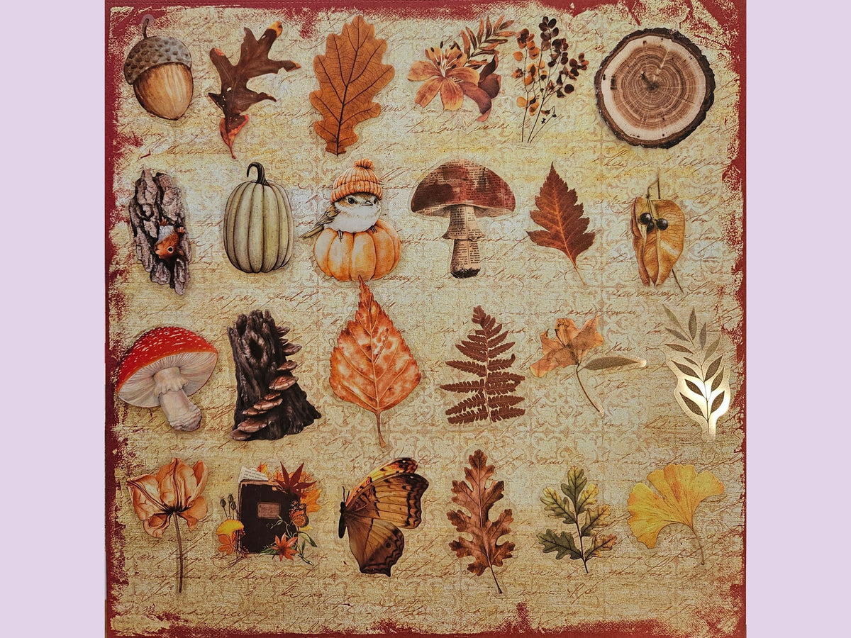 Woodland PET Stickers Bundle of 25, Autumn Mushrooms, Leaves & Nature Stickers for Journaling and Scrapbooking