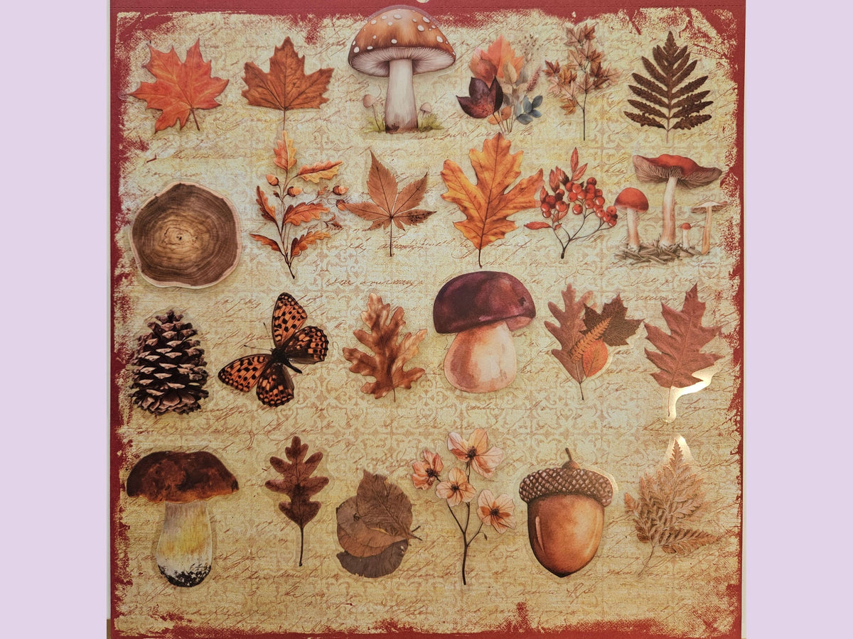 Woodland PET Stickers Bundle of 25, Autumn Mushrooms, Leaves & Nature Stickers for Journaling and Scrapbooking